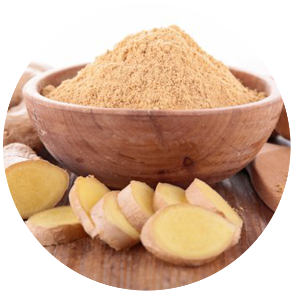 Ginger Powder