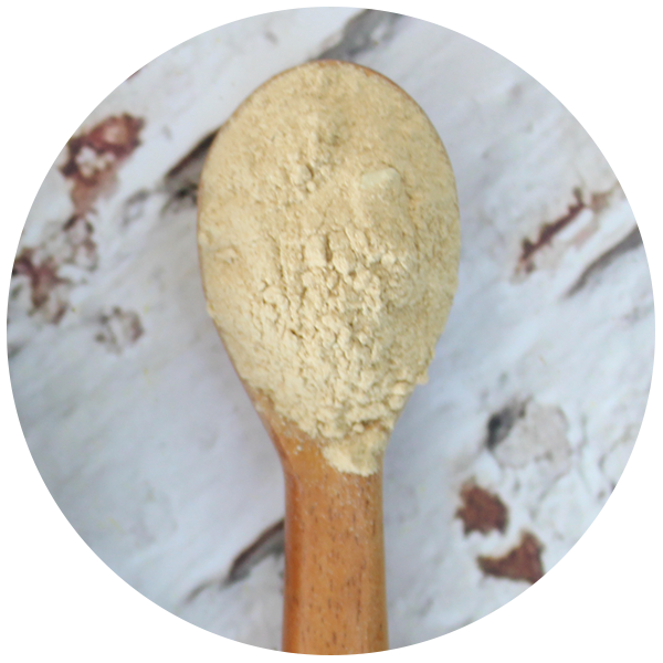 Shatavari Root Powder