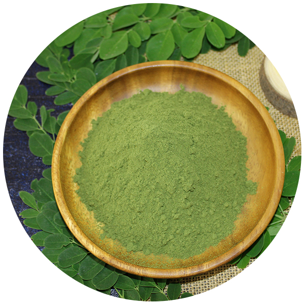 Where To Buy Moringa Powder Wholesale