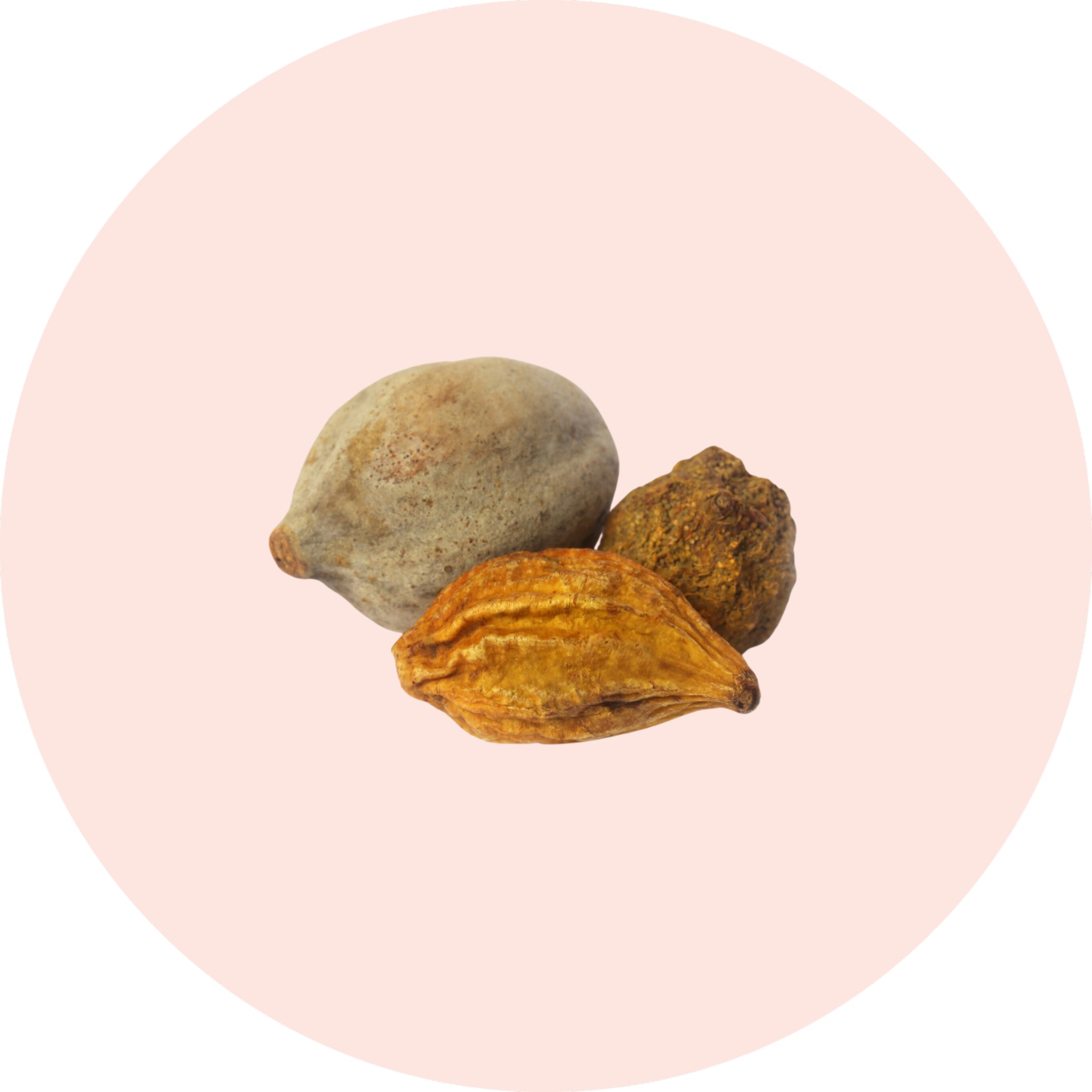 Triphala Powder Grenera Triphala Powder Grenera