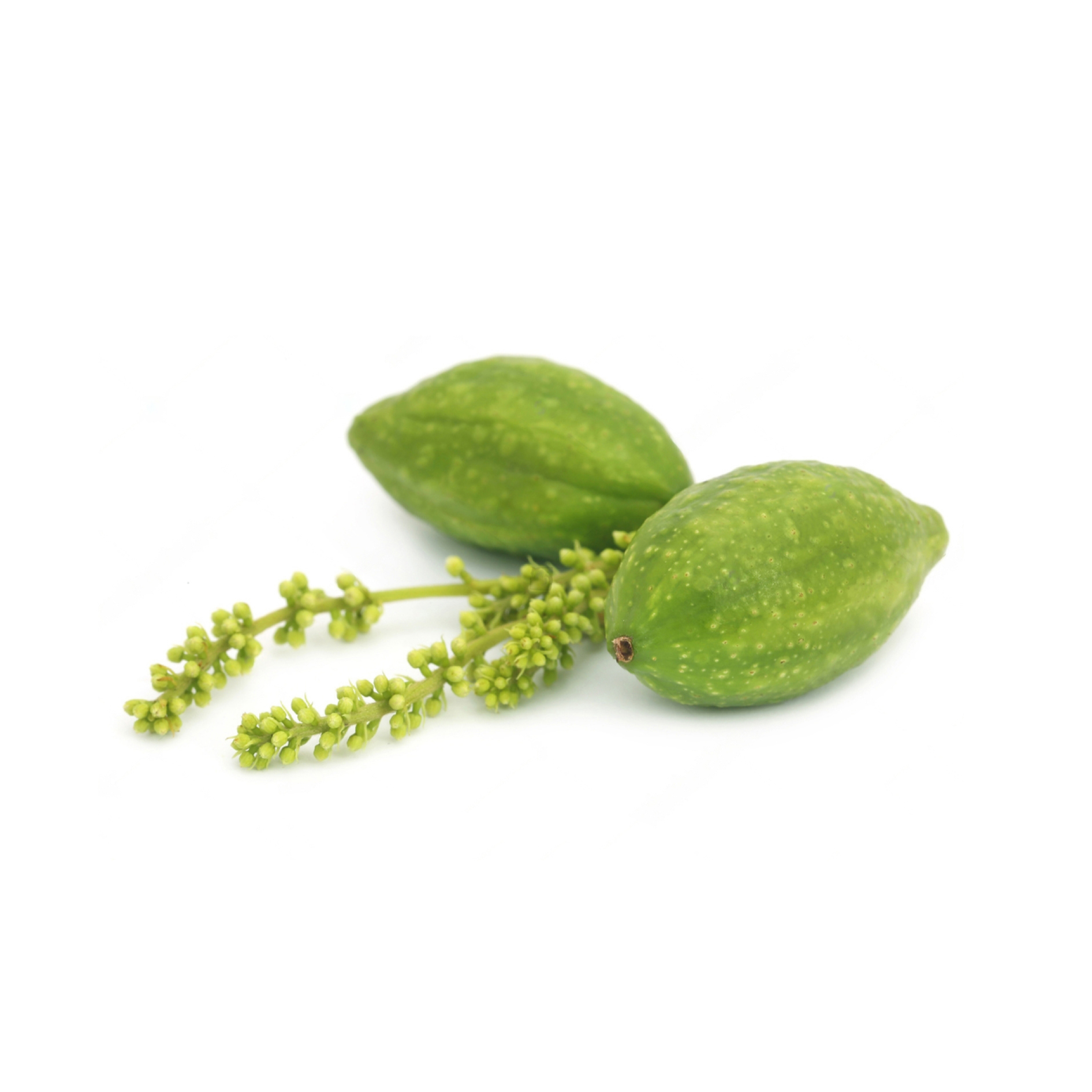 Triphala Powder 16 Grenera Triphala Powder 16 Grenera