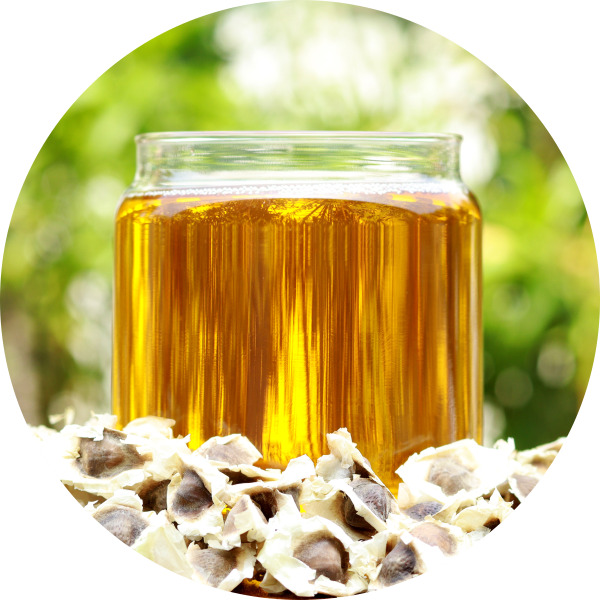 Organic Moringa Seed Oil