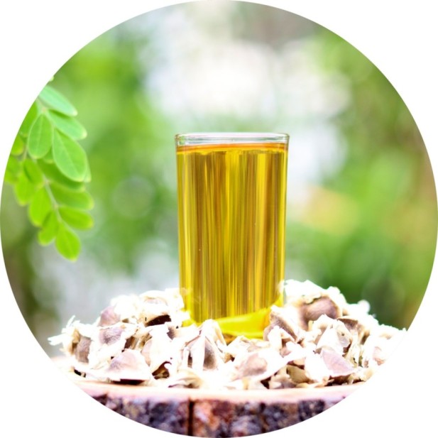 Cold Pressed Moringa Seed Oil Suppliers