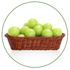 Amla-Grenera