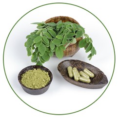 Moringa-Grenera