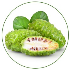 Noni Grenera