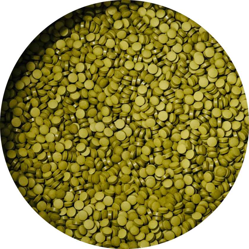 Bulk Organic Moringa Tablet Suppliers