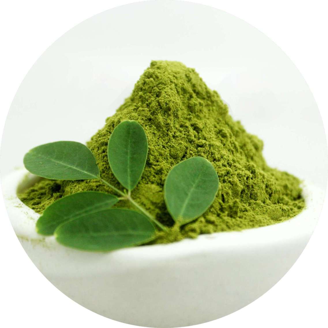 Moringa Powder Manufacturers In Korea 1