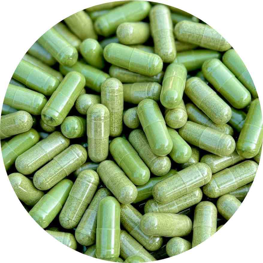 Organic Moringa Capsule 1