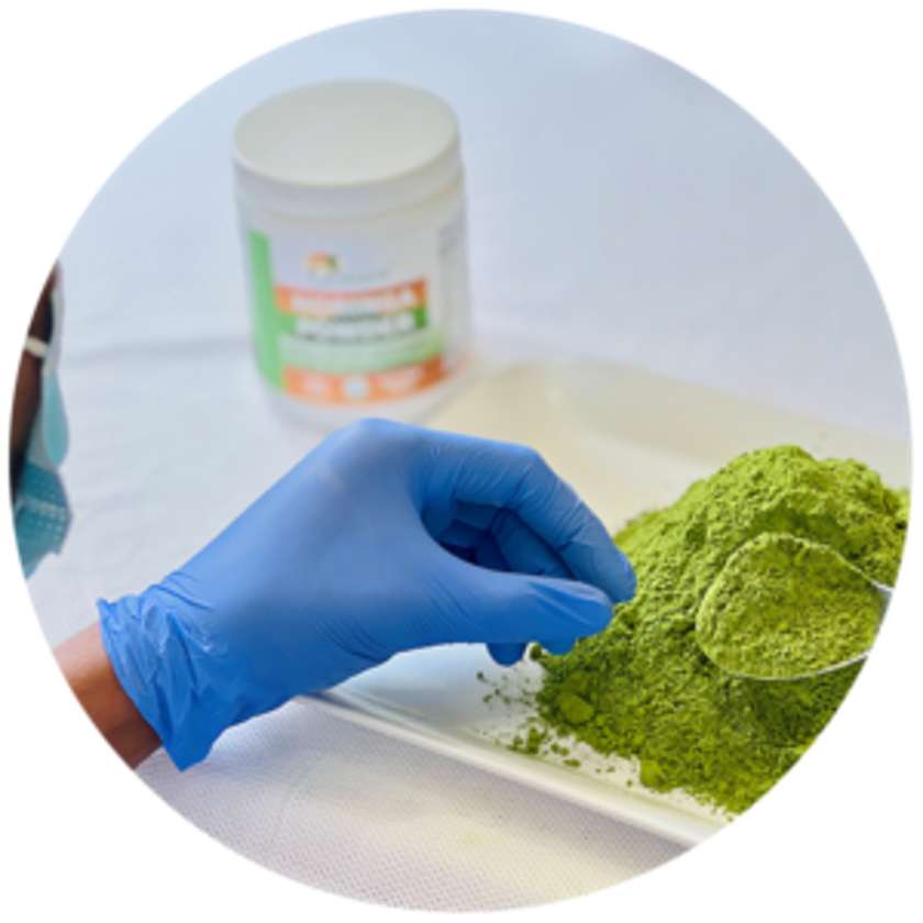 Organic Moringa Leaf Powder 2