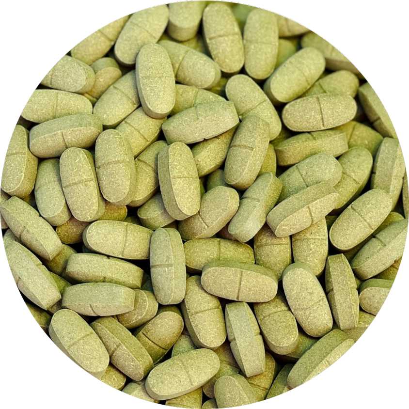 Organic Moringa Tablets 7