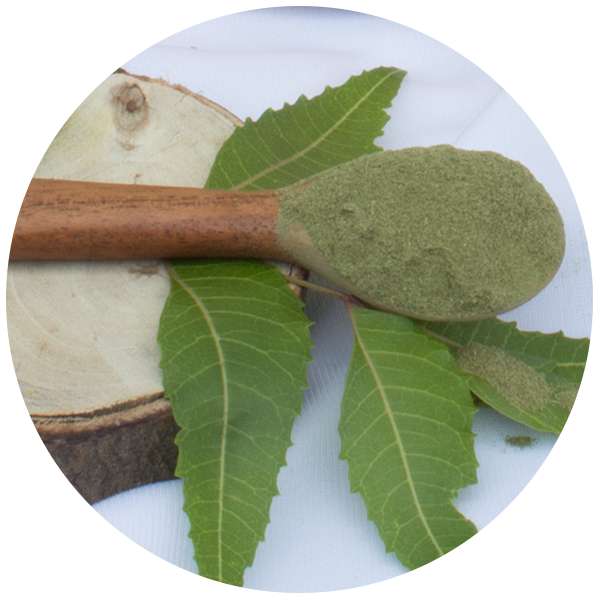 Organic Neem Leaf Powder 4