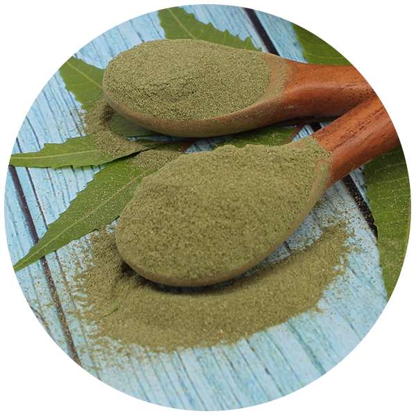 Organic Neem Leaf Powder 5