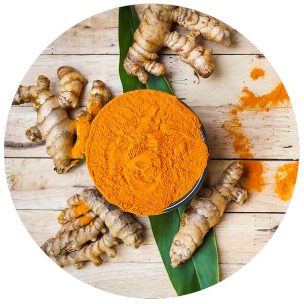 Organic Turmeric Powder 1