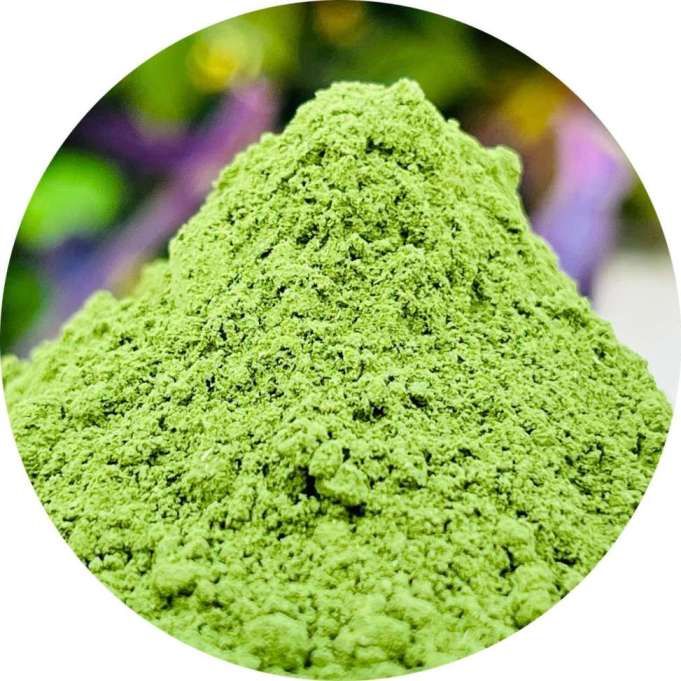 Wholesale Moringa Leaves Powder Suppliers In South Korea