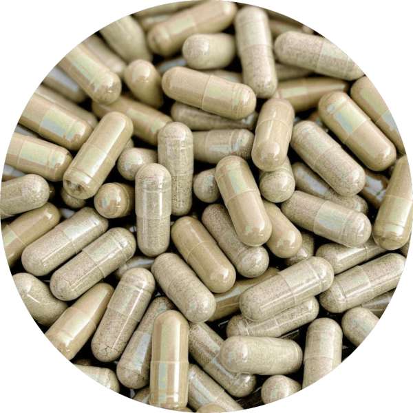 Bulk Organic Ashwagandha Capsules Supplier 3