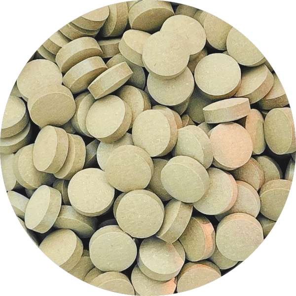 Bulk Organic Ashwagandha Tablets Supplier 1