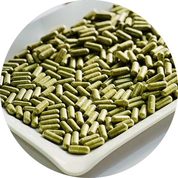 Bulk Organic Moringa Capsule Suppliers