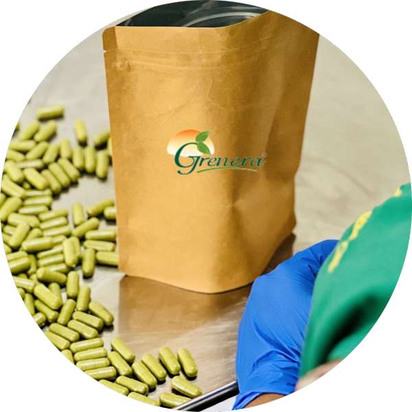 Bulk Organic Moringa Capsules For Resale 1