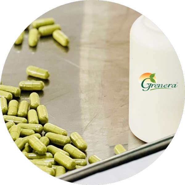 Bulk Organic Moringa Capsules For Resale