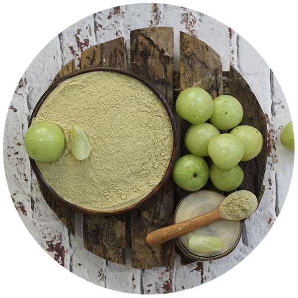 Organic Amla Powder 1 Steam Sterilized Organic Amla Powder Manufacturer Exporter