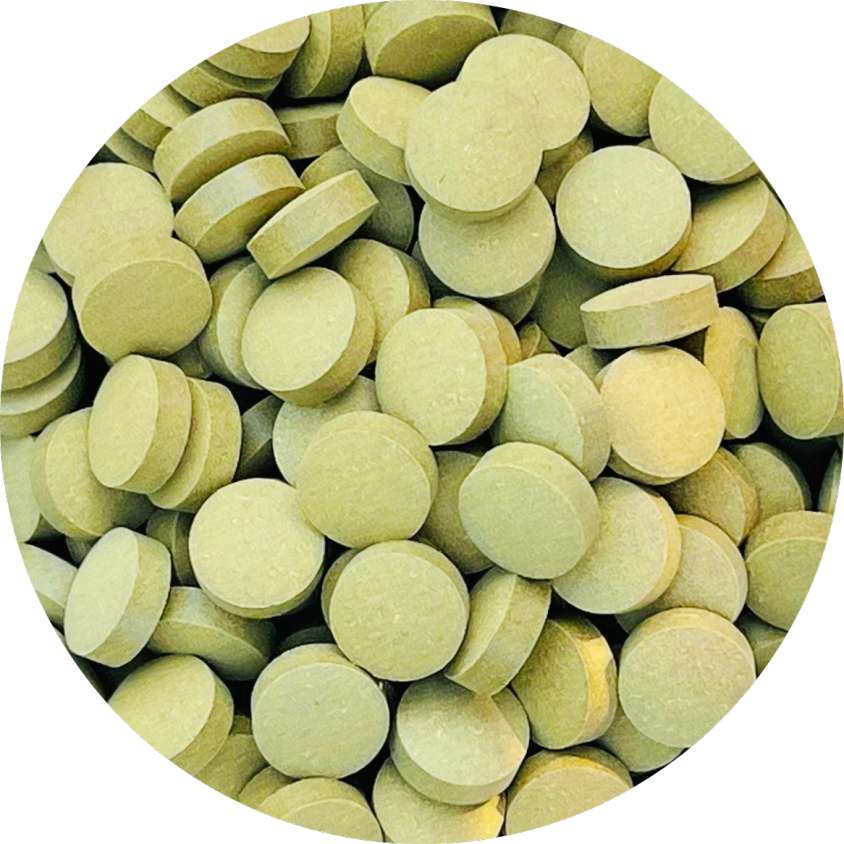 Organic Moringa Tablets 10