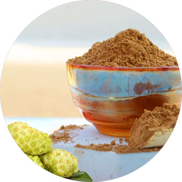Organic Noni Powder 2 Organic Noni Powder 2