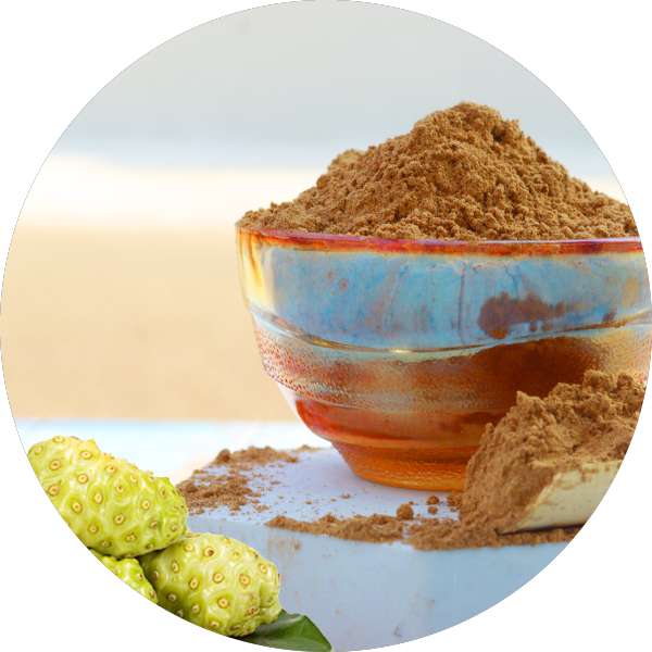 Organic Noni Powder 2