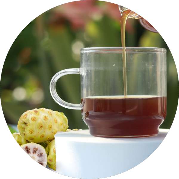 Which Is Good Noni Powder Vs. Noni Juice 1