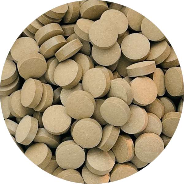 Wholesale And Bulk Suppliers Of Organic Noni Tablets For Resellers 2
