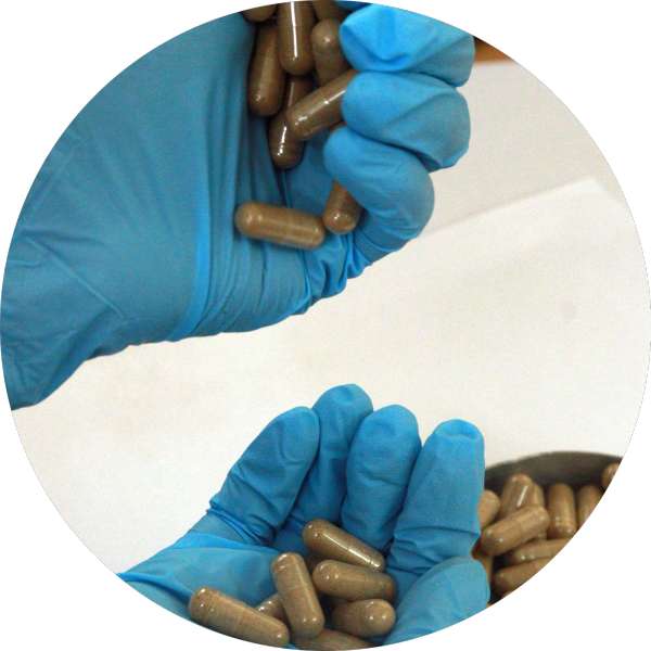 Organic Noni Capsules 2