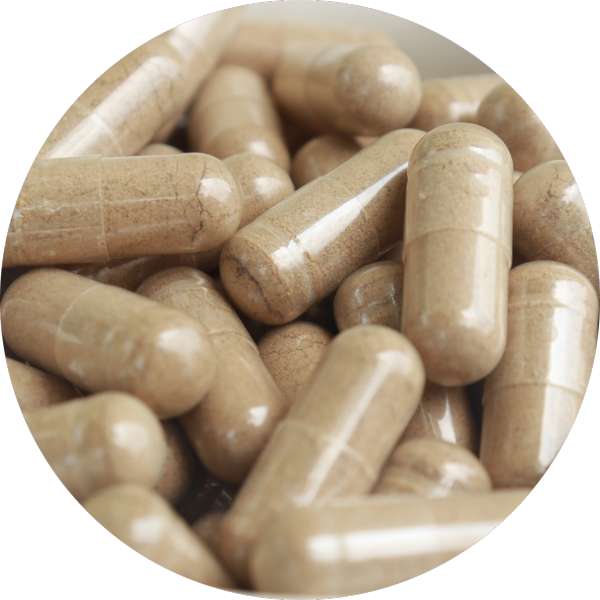 Organic Noni Capsules 4 Organic Noni Capsules 4