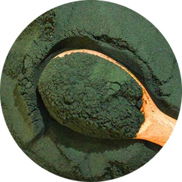Private Label Spirulina Tablets – Grenera Nutrients 2 Private Label Spirulina Tablets - Grenera Nutrients 2
