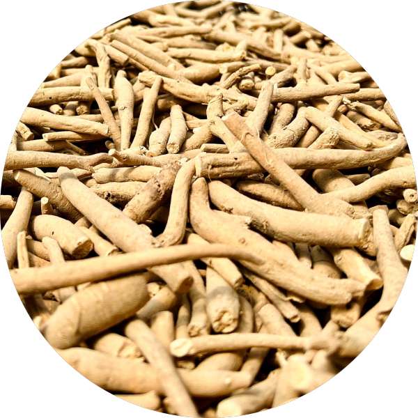 The Best Way to Consume Ashwagandha in Your Daily Routine – Grenera Nutrients The Best Way to Consume Ashwagandha in Your Daily Routine - Grenera Nutrients