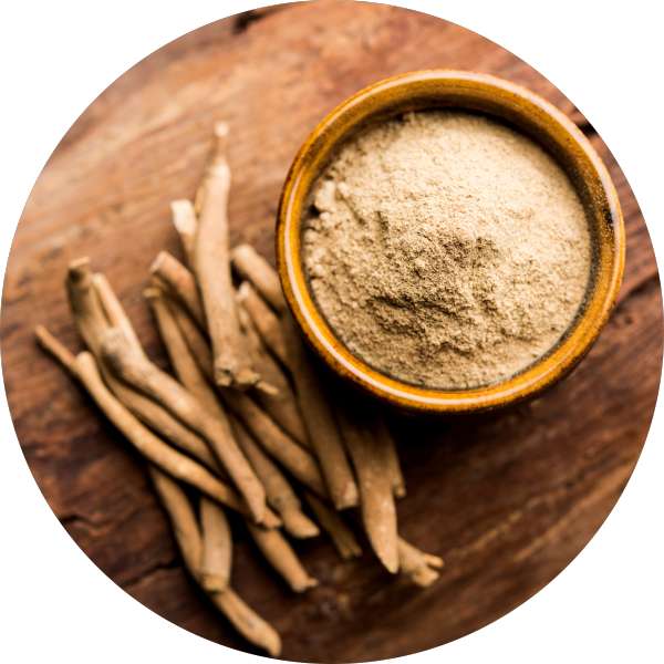 Is Ashwagandha Safe For Long Term Use – Grenera Nutrients Is Ashwagandha Safe For Long Term Use - Grenera Nutrients