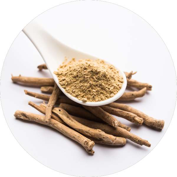 Is Ashwagandha Supplement Safe For Pets – Grenera Nutrients 1 Is Ashwagandha Supplement Safe For Pets - Grenera Nutrients 1