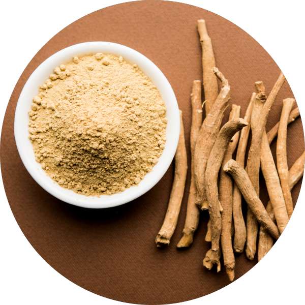 What is the Best Time to Take Ashwagandha - Grenera Nutrients