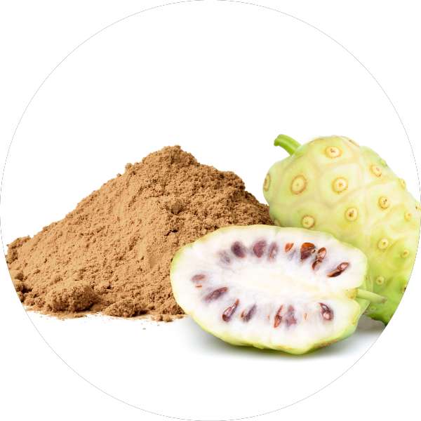 Private Label Noni Powder Manufacturer Wholesale Bulk Supplier Exporter - Grenera Nutrients