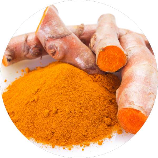The Best Quality Turmeric Varieties In India - Grenera Nutrients