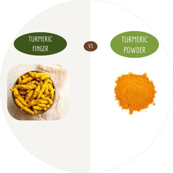 Turmeric Powder vs Turmeric Finger – Which Contains All Essential Nutrients - Grenera Nutrients 1