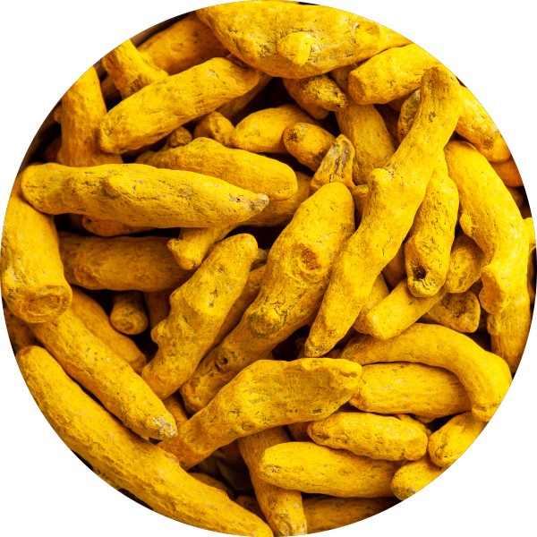Turmeric Powder vs Turmeric Finger – Which Contains All Essential Nutrients - Grenera Nutrients 3