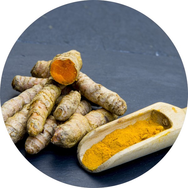 Turmeric Powder vs Turmeric Finger – Which Contains All Essential Nutrients - Grenera Nutrients 4