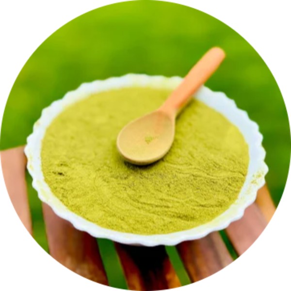 Moringa Leaf Powder Wholesale Bulk Suppliers and Exporters in India - greneranutrients 2