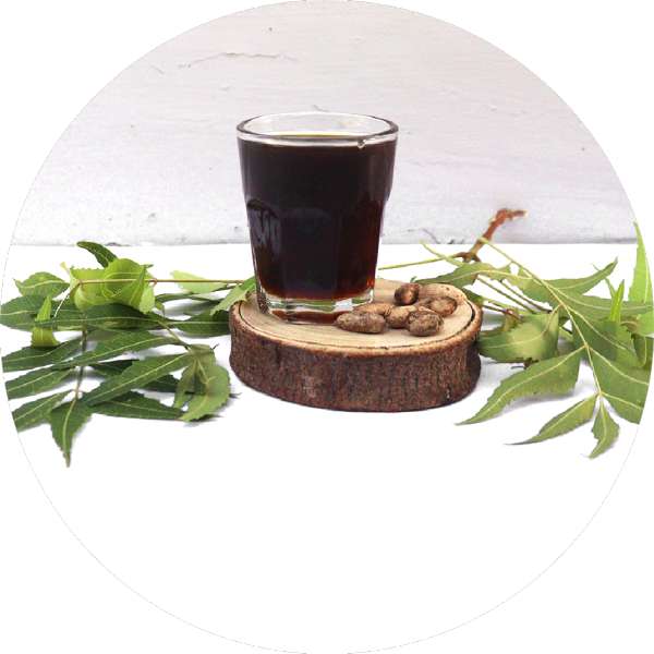 Neem Oil Exporters For Pest Control Industries - Grenera Nutrients