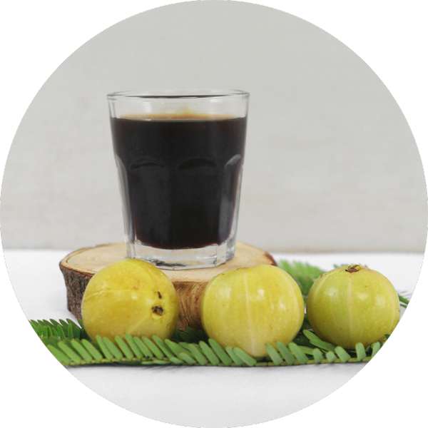 Organic Amla Juice Manufacturer Wholesale Bulk Supplier Exporter - grenera nutrients 1