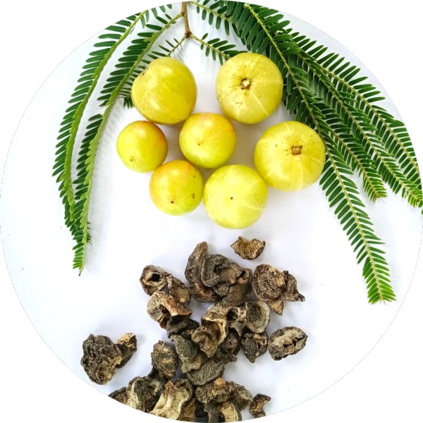 Organic Dried Amla Manufacturer Wholesale Bulk Supplier Exporter - Grenera Nutrients 3