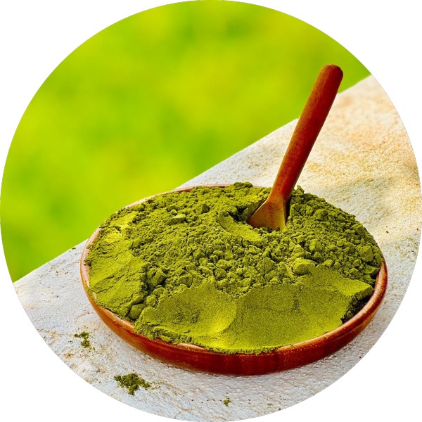 Organic Moringa Leaf Powder Bulk Suppliers and Exporters - grenera nutrients 1