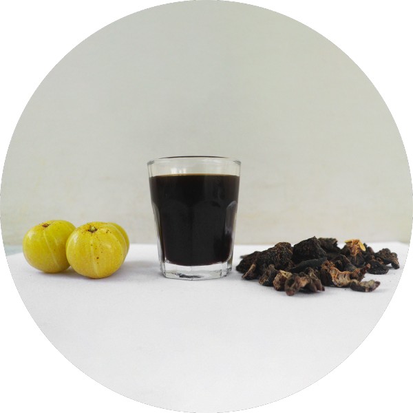 Traceability and Transparency Key Factors in Amla Product Exports - Grenera Nutrients