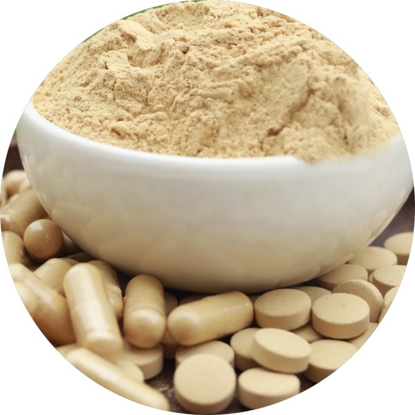 Bulk Amla Capsules and Tablets Meeting the Rising Demand in Nutraceuticals - Grenera Nutrients 3