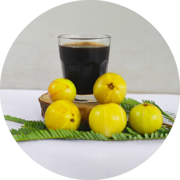Bulk Supply of Organic Amla Juice for B2B Buyers - Grenera Nutrients